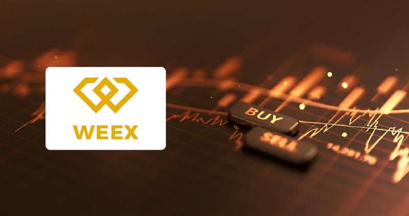 Weex WEEX Exchange Review: Fees, Functions, and Usability